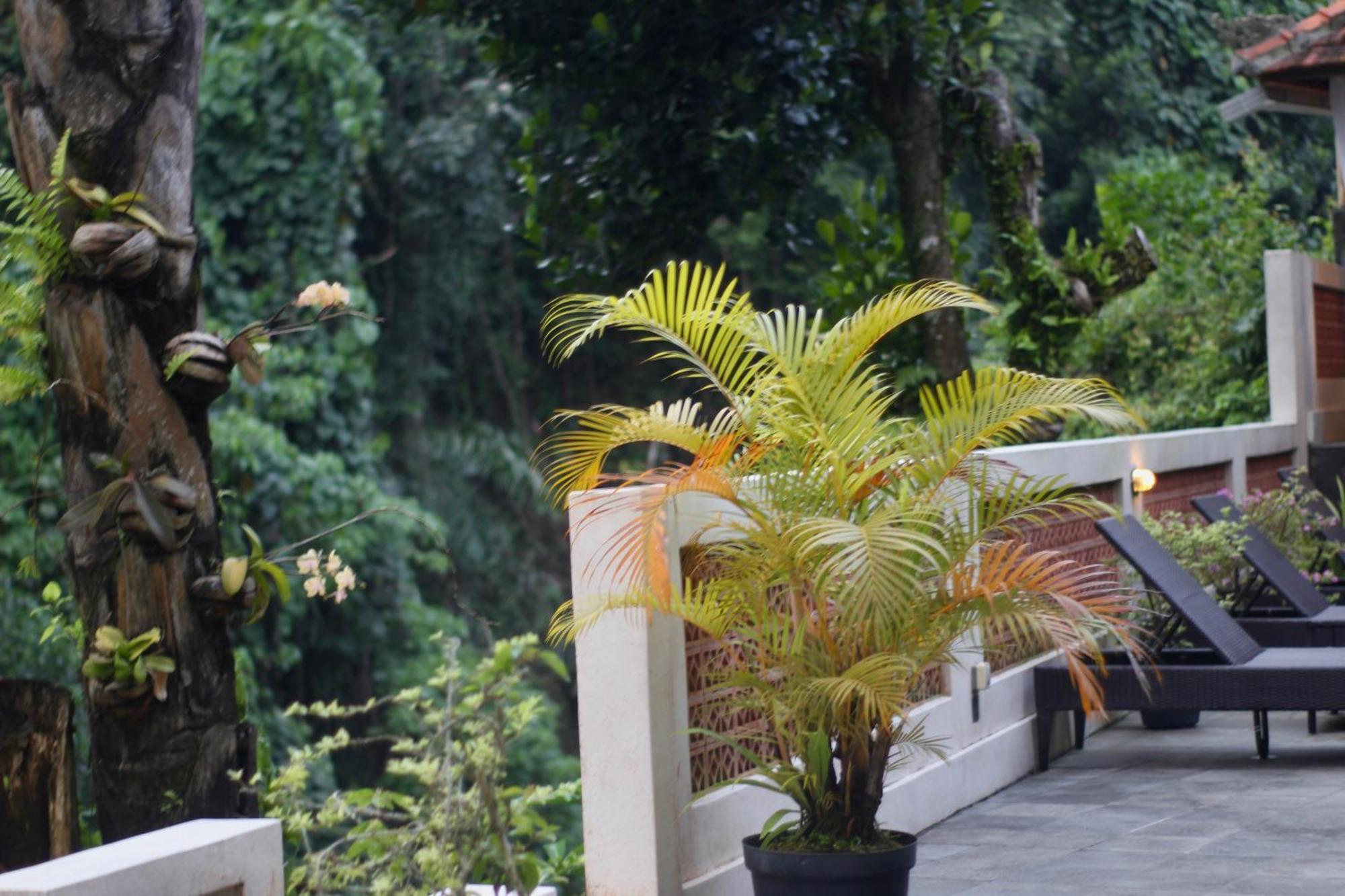 Hanaka Riverside Guest house *