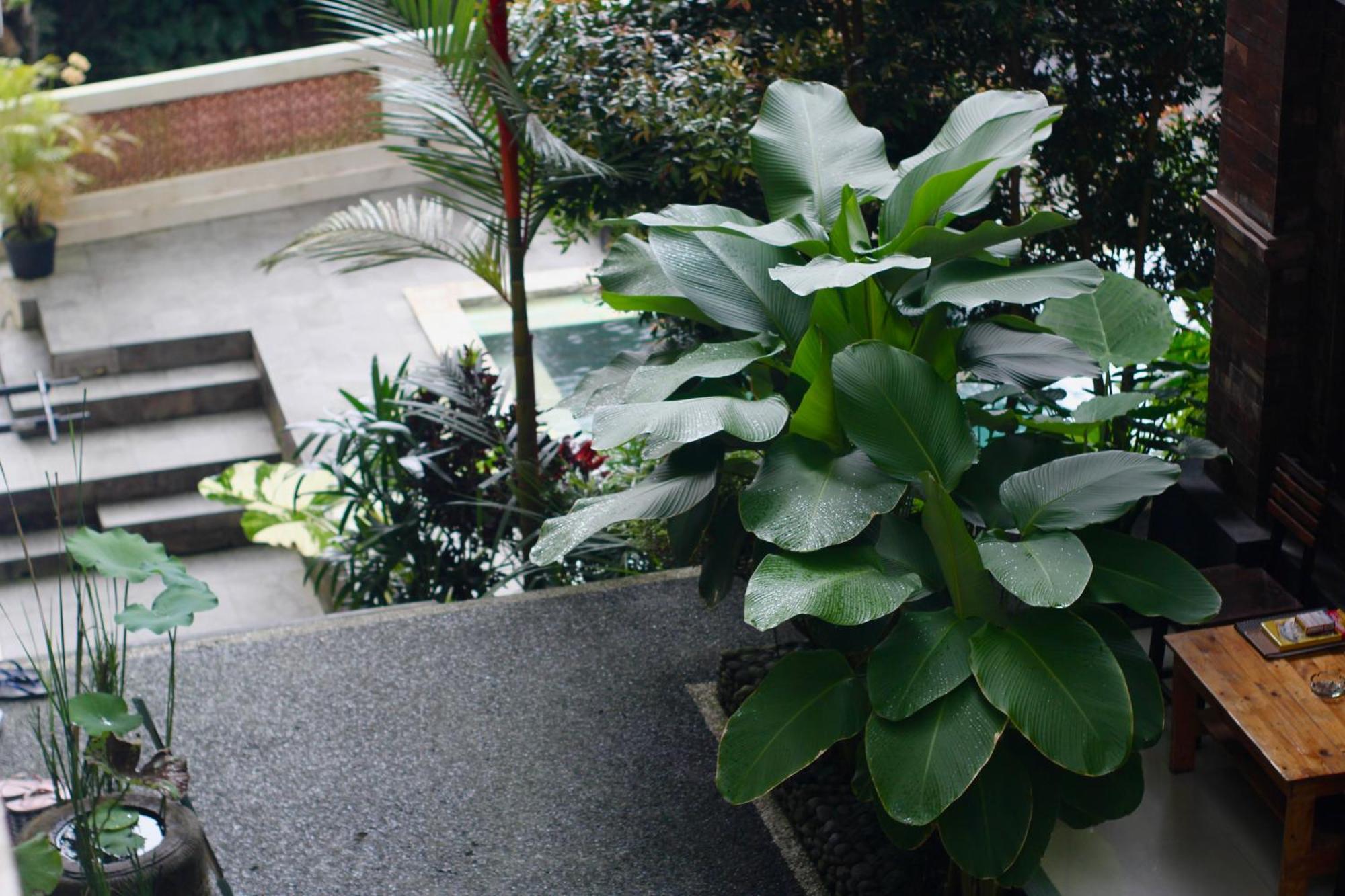 Hanaka Riverside *
