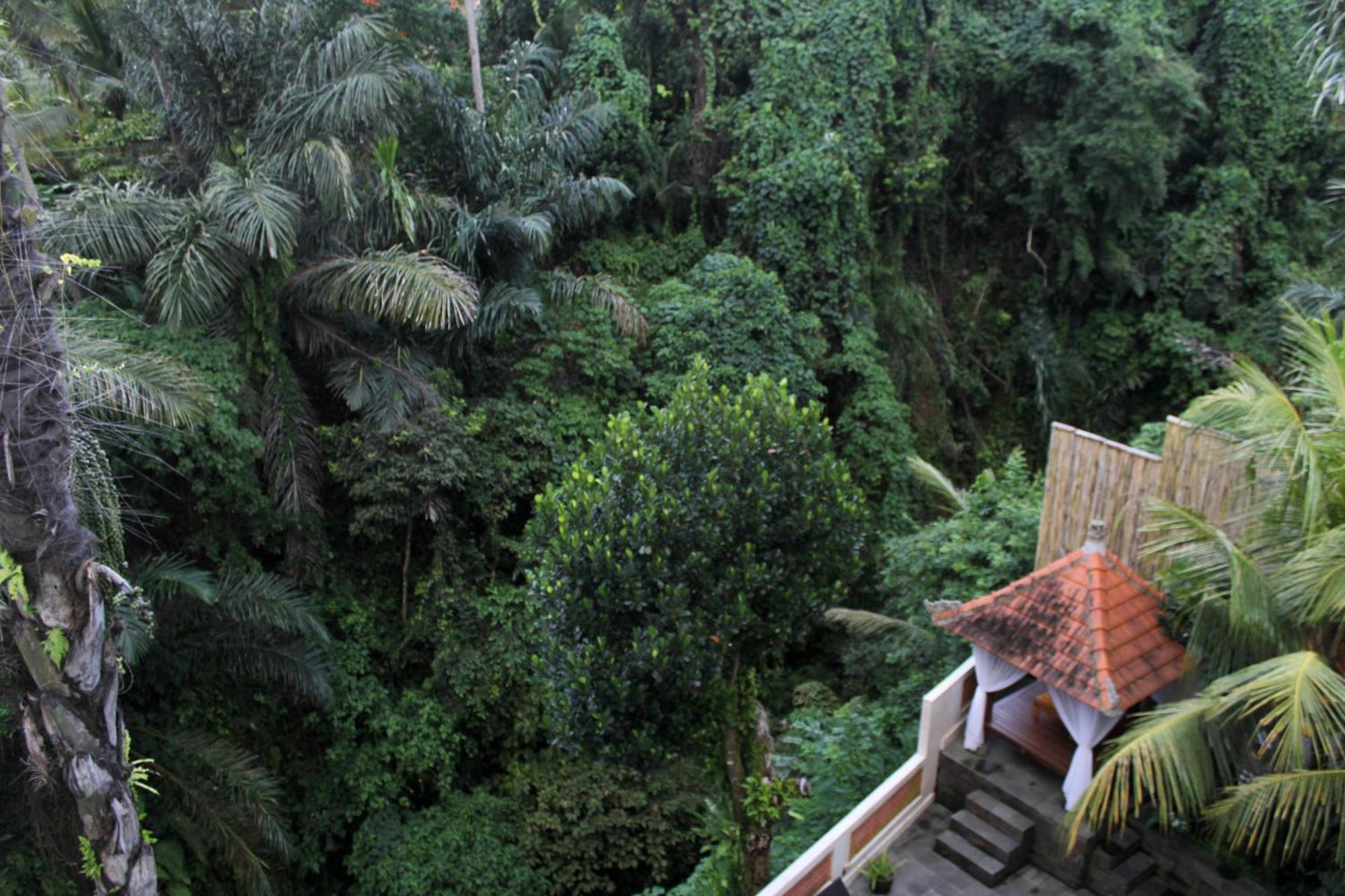 Hanaka Riverside Ubud (Bali)