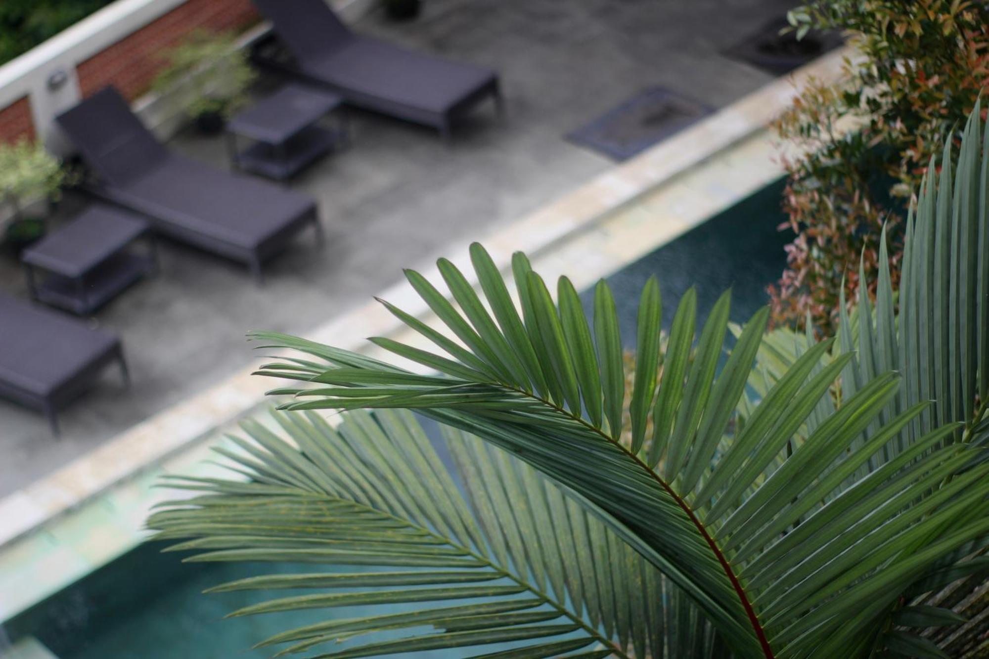 Guest house Hanaka Riverside *