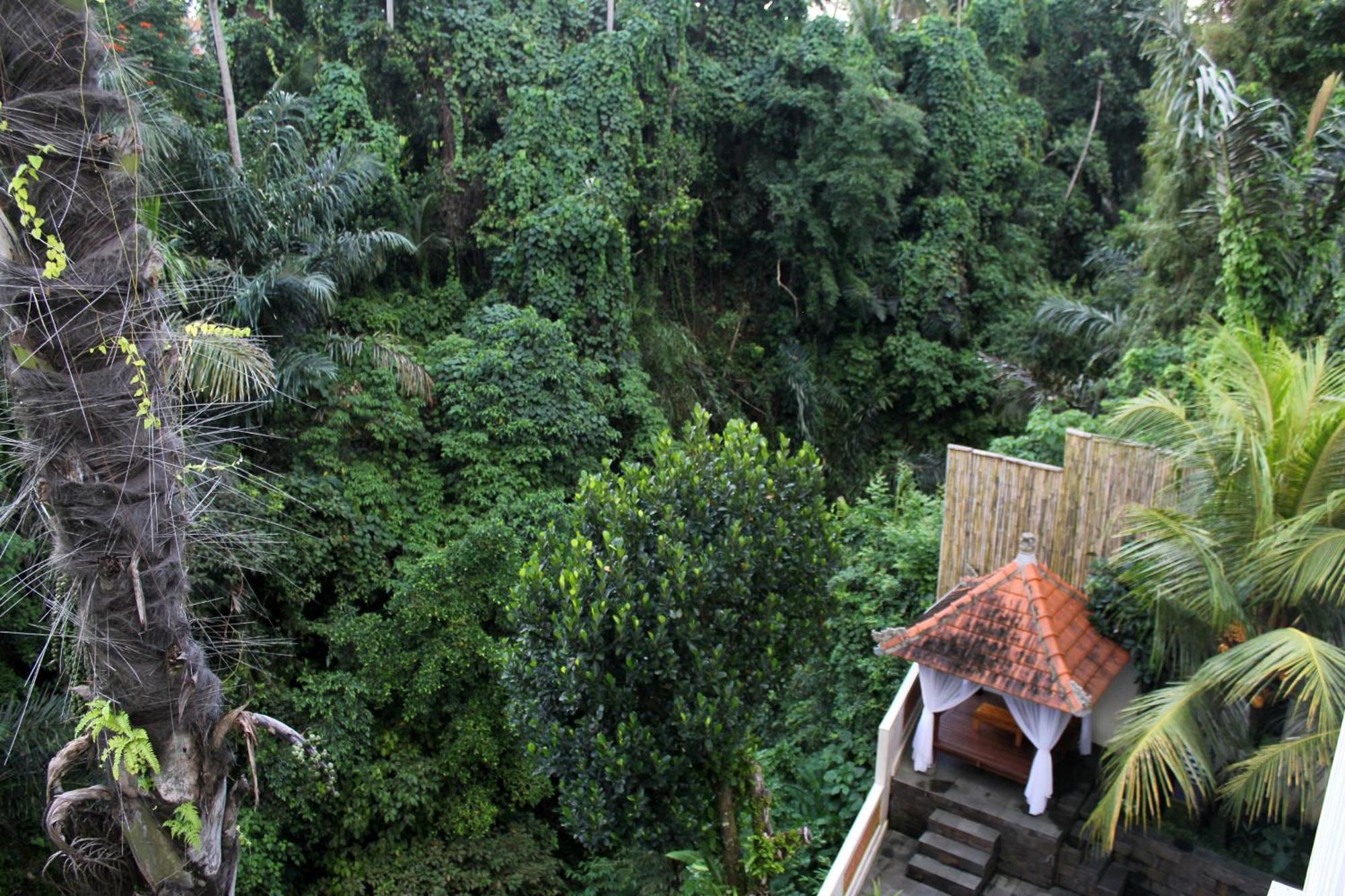 Casa de hóspedes Hanaka Riverside Ubud